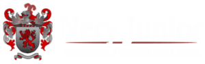 Nery Junior - Advocacia e Consultoria Legal | Soluções Jurídicas
